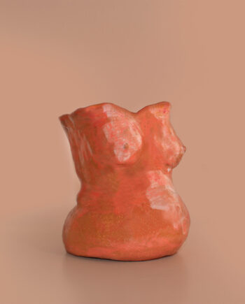 Vase EMBARAZADA